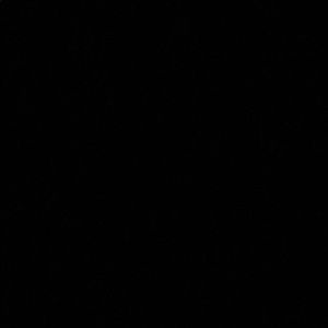 Meet your Posher, Aj